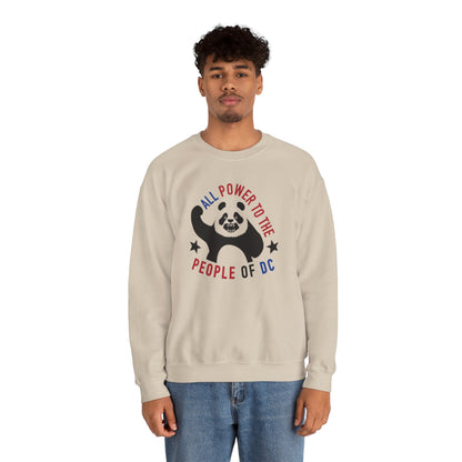 Power to the People Panda Sweatshirt