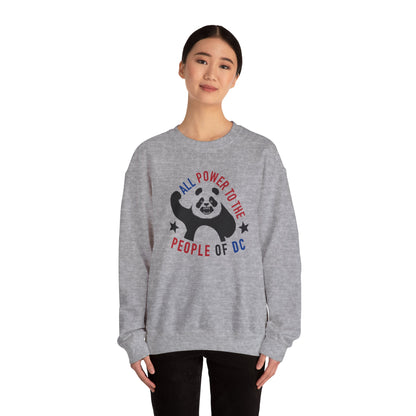 Power to the People Panda Sweatshirt