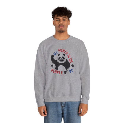 Power to the People Panda Sweatshirt